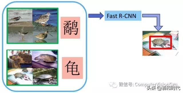 稀疏&集成的卷积神经网络学习