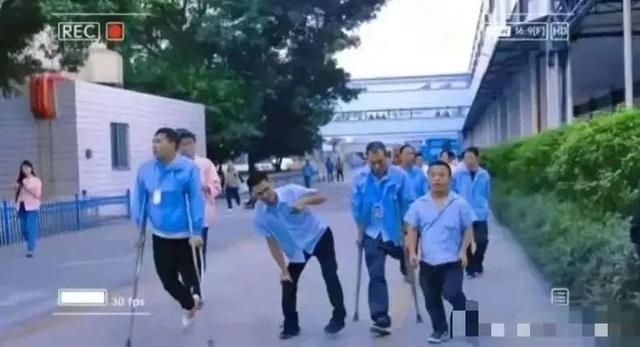 冲上热搜的白象，可惜了