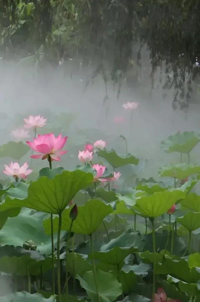 老祖宗留下千古不变的道理，有福不用忙、无福跑断肠