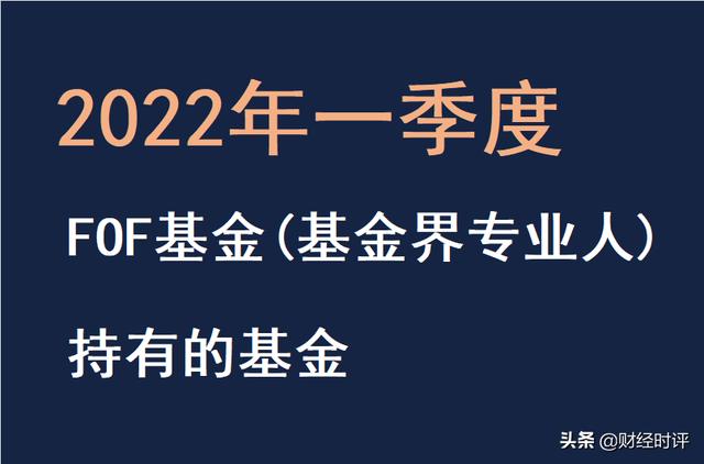 2021年业绩最好的FOF基金「2020年基金推荐」