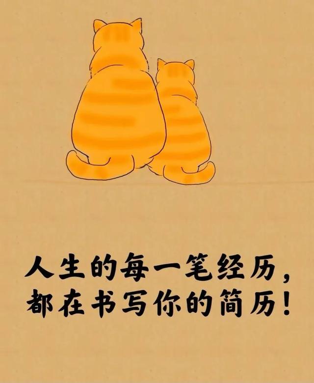 所谓的人生就是⋯