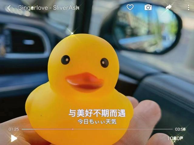 励志语录 成功五心：爱心、耐心、决心、信心、恒心