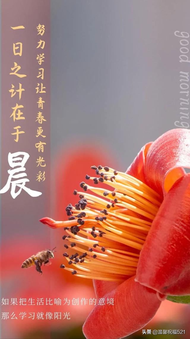 3月28日，星期一，早上好，新的一周开始了