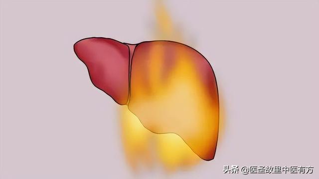 肺火、肝火、心火、胃火、肾火，你上的火属于哪一把？快来浇灭它