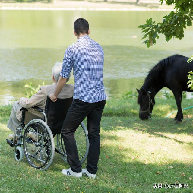 坐轮椅的父亲和推轮椅的儿子的一番对话，融化了整个寒冷的冬天