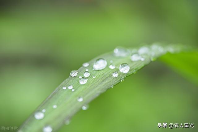 天气预报：新一轮冷空气来袭，局部降温超10℃，倒春寒又来了吗？