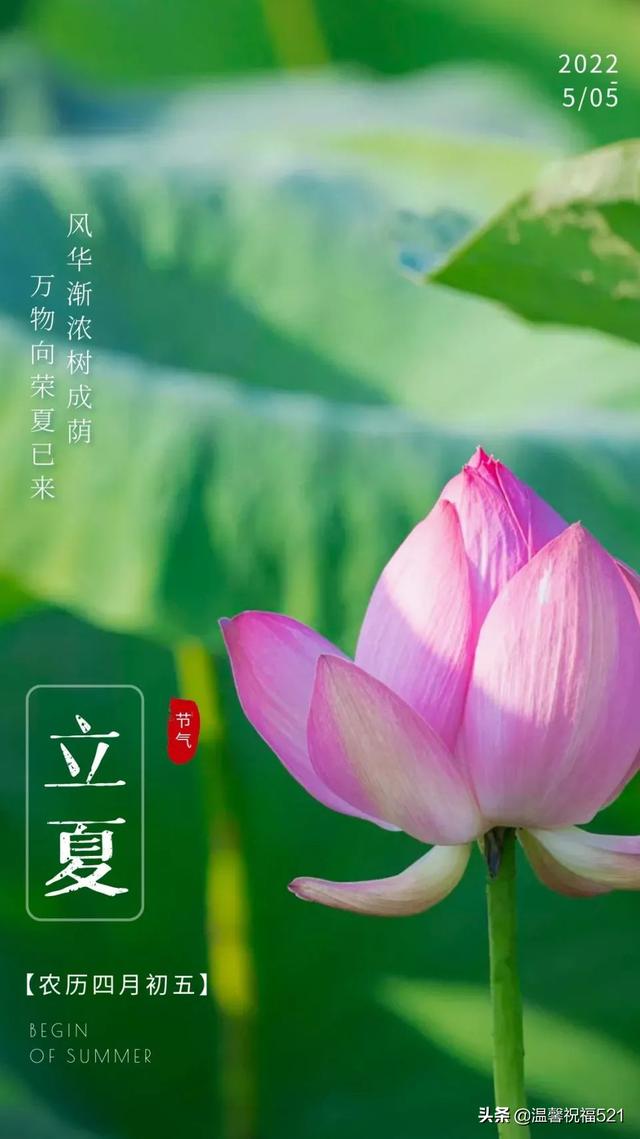 5月5日立夏图片高清，立夏发朋友圈句子