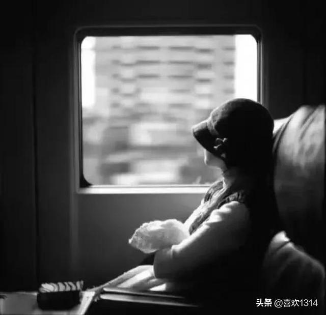 春天已经姹紫嫣红，疫情离去还会远吗？