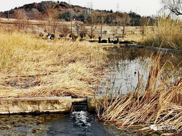 房山牛口峪濕地公園，沒想到風景如此優美