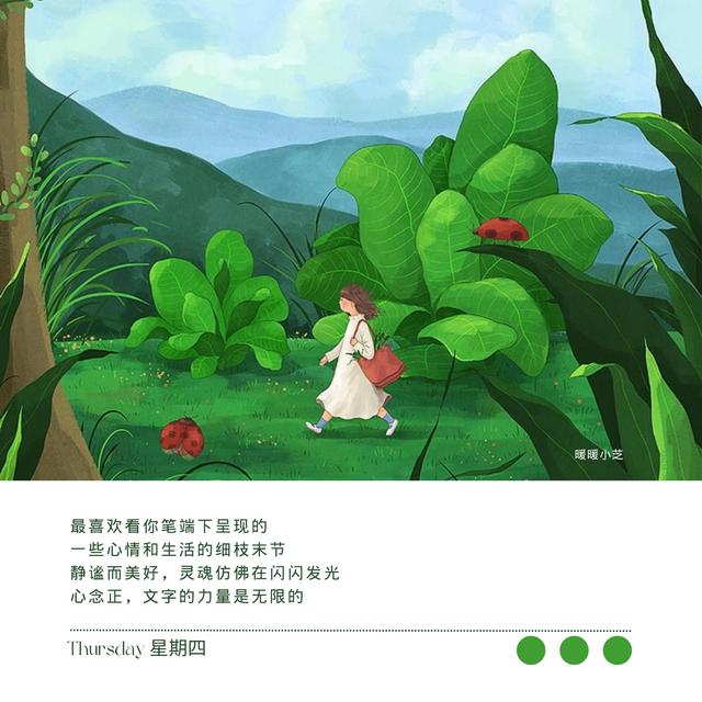 发现美的眼睛