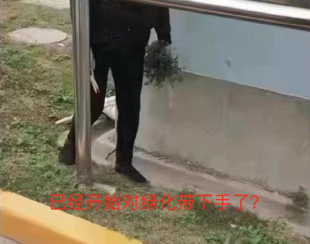 越新鲜越有毒！这几种应季蔬菜，不要给孩子乱吃