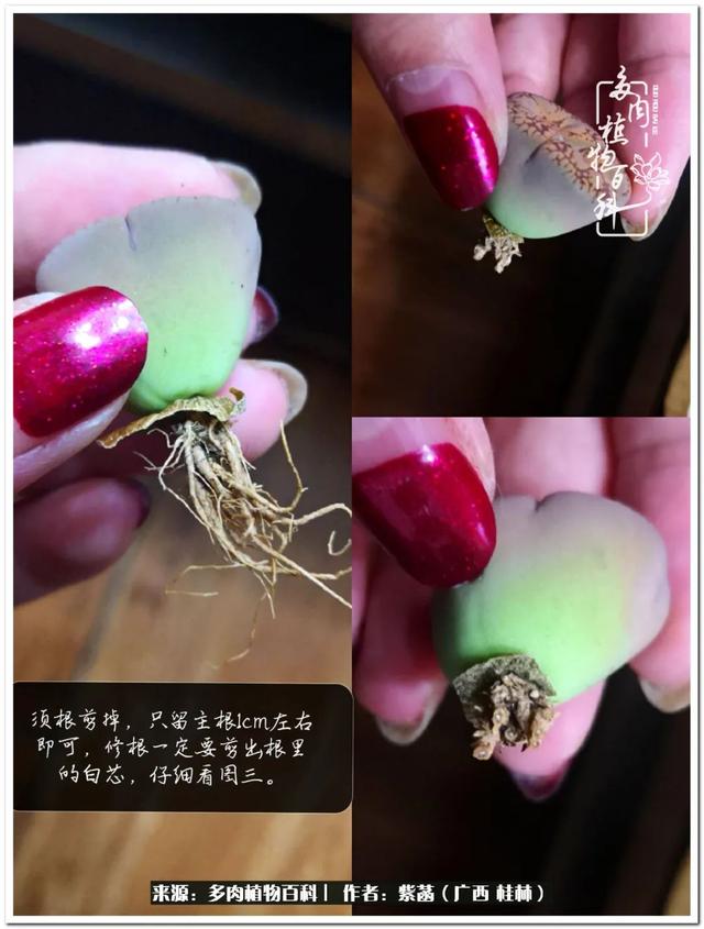 郑州新型泥土洗砂机