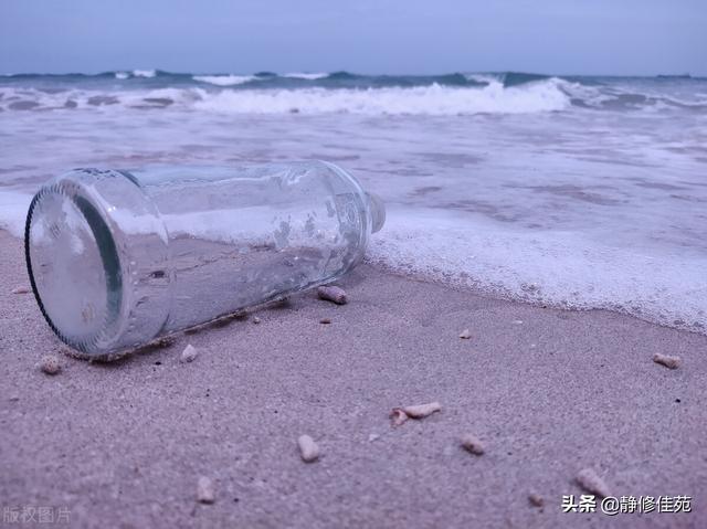 快乐就是生活的全部