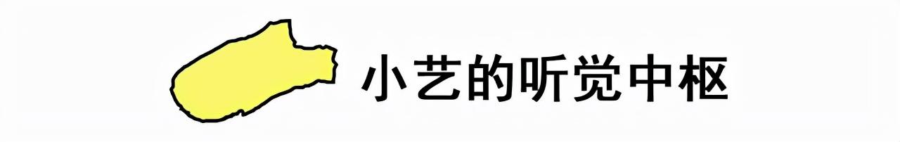 华为手机的语音助手叫什么唤醒？手机的语音助手在哪里打开