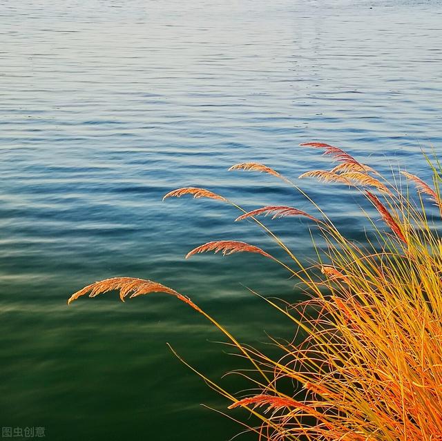 怀一份淡然之心 走过山重水复的似水流年