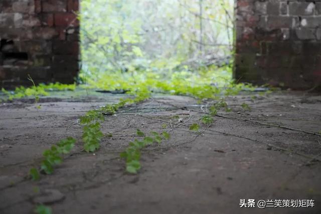 合肥水泥机械展