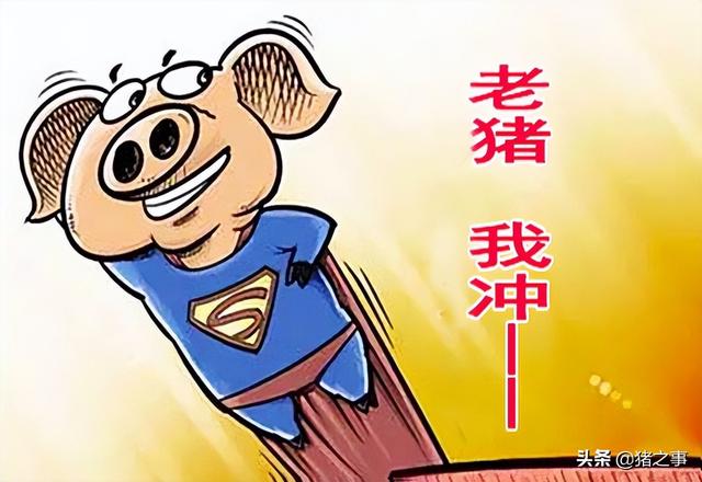 擂鼓助威！猪价“冲天大涨”，20日多地猪价直冲7元，啥情况？