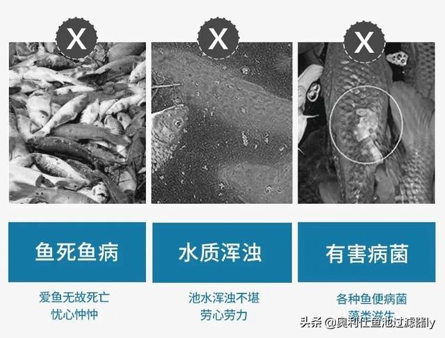 水份过滤机的简单介绍