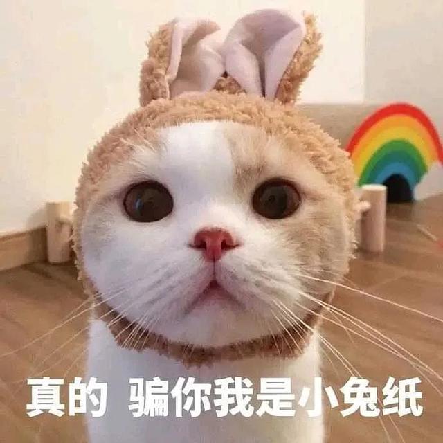 华为为什么不造芯片？任正非这样说