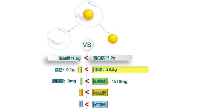 浙大研究：每天多吃一个蛋，心脏病和癌症死亡风险会增加？可信吗