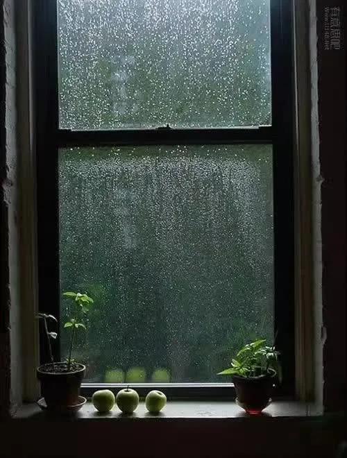 最爱的下雨天