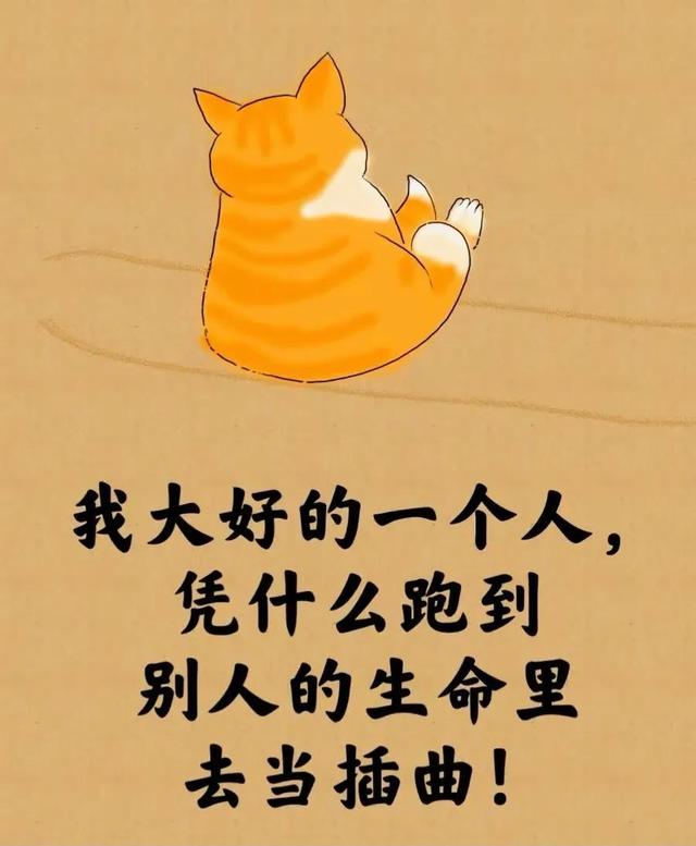 所谓的人生就是⋯