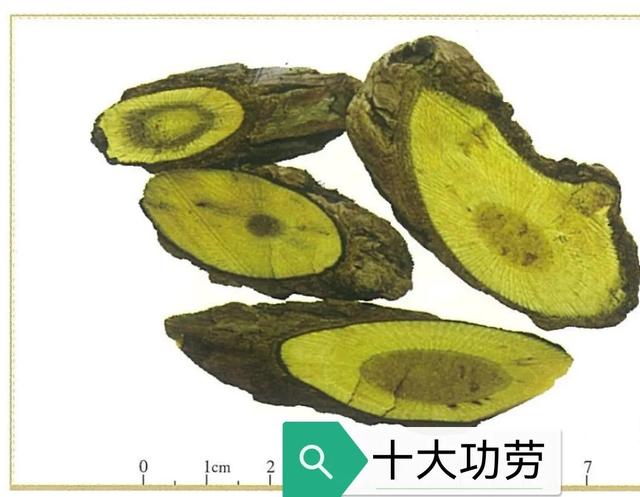 十大功劳 十大功劳（十大功劳为什么叫这个名字） 生活