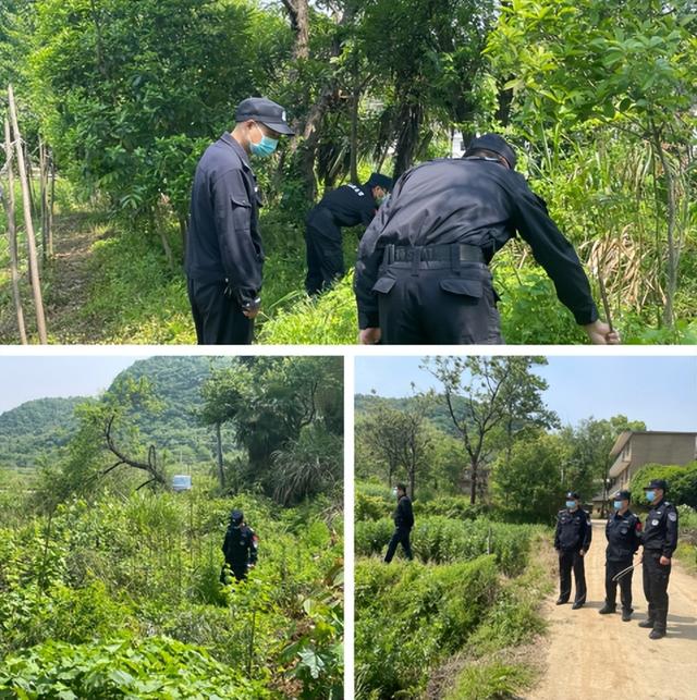 狮子街道：开展春季禁种铲毒专项行动