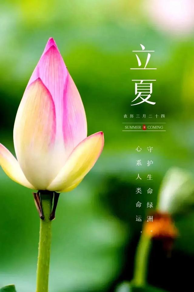 春去夏来 财运火红
