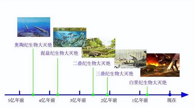 地球曾经历五次生物大灭绝，现在人类科技发达，能避免第六次吗？