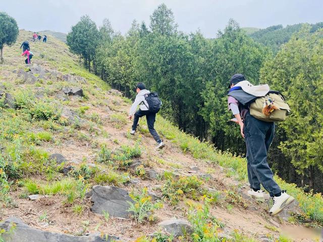 一家三口爬山10公里儿子在路边拔野菜，坐地上吃也不算太脏