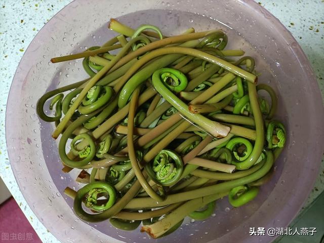 春天的野菜