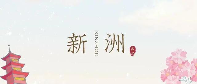 找春天 赏花正当时 带你看新洲的花花世界 内含景区福利 新闻时间