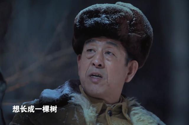 34集《青山不墨》今晚开播，上星央视1套，4位实力派坐镇，该火了