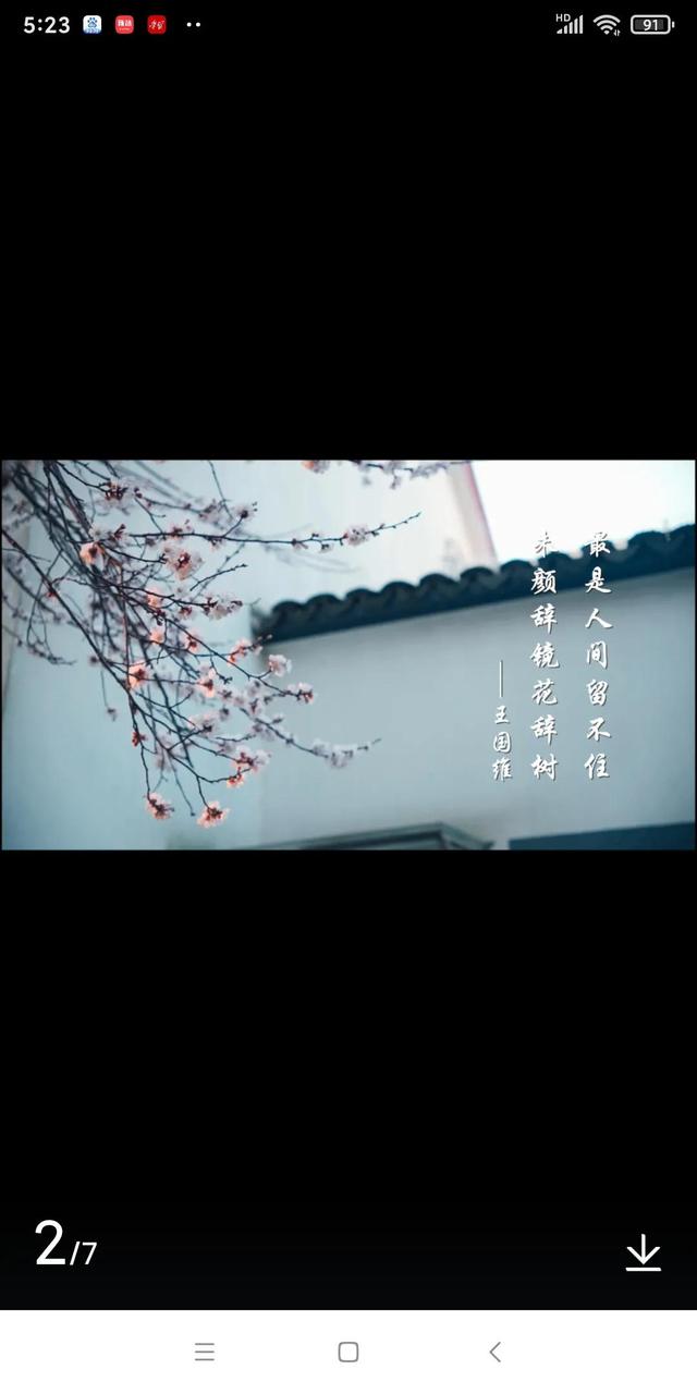 今天立夏日