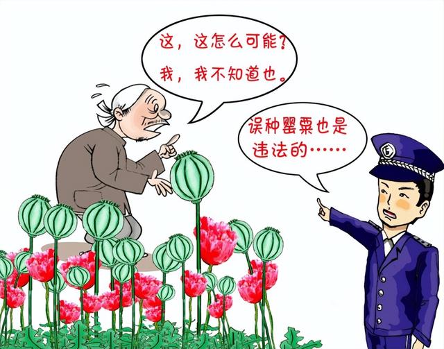 “禁种令”继续执行，禁种名单有哪些作物？官方支持种植哪些作物