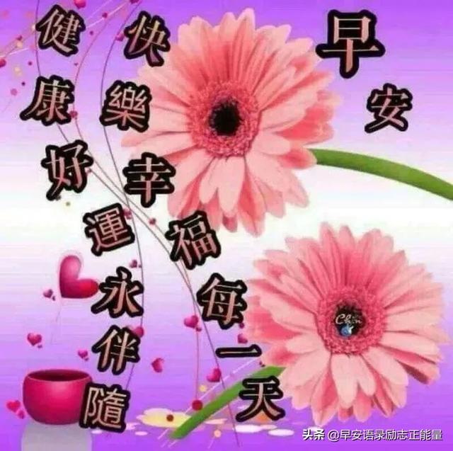 早上起床最火爆的励志早安心灵鸡汤语录，励志心灵鸡汤分享