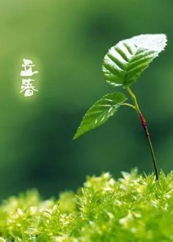 春日的细雨,公园的花海,新生的绿芽,都在向你发出邀约,赶赴一场春日的