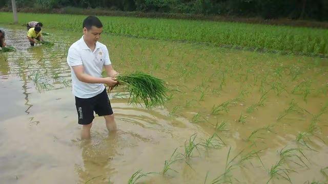 《腿毛多的男人的命运（腿毛多的男人命运面相）》