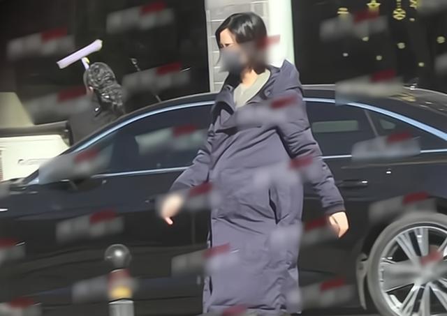 50岁李亚鹏又要当爹？陪90后选美冠军做产检，李嫣以后怎么办？