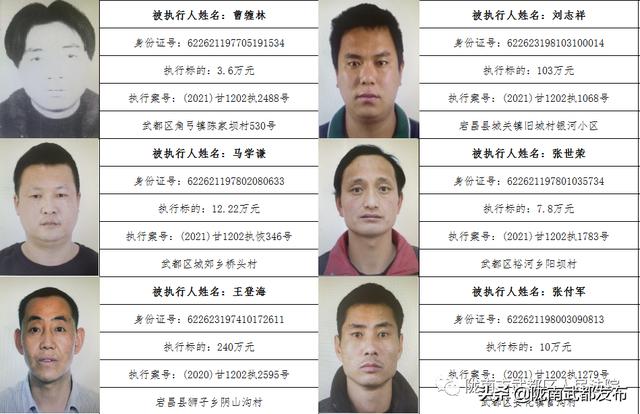 曝光! 武都区法院公布2022年第一批失信被执行人名单（172人）