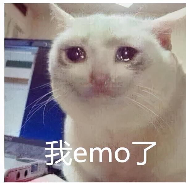 养儿如养哈士奇，不是你疯，就是他疯