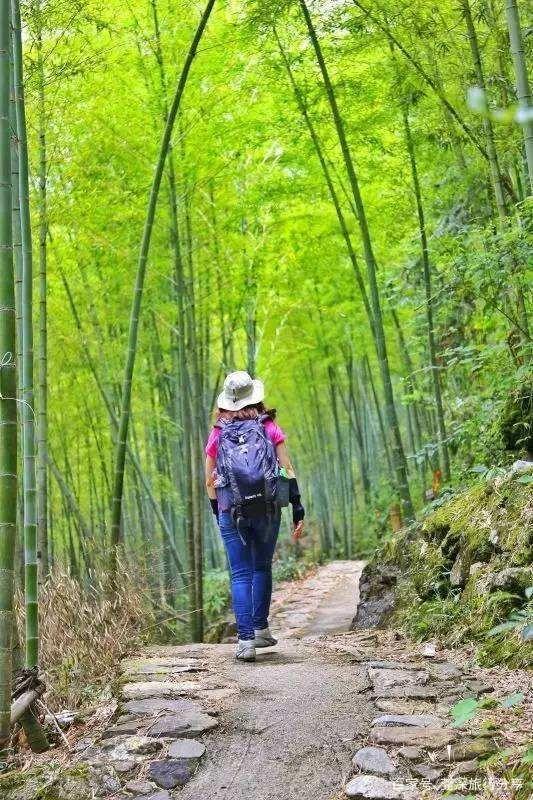 广东哪里适合团建