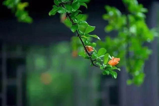 夏，如约而至；安，顺时而归
