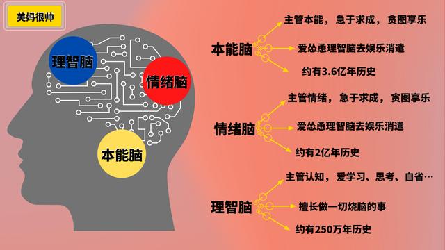 孩子学习低效，写作业爱拖拉？脑科学：简单一招养成学霸