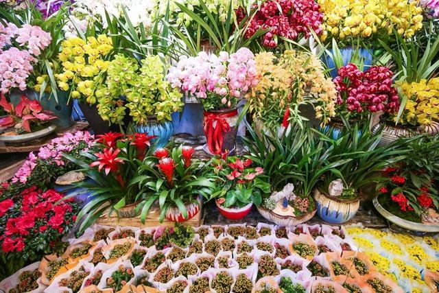 夏天去花市，4类花不要买！花商：不懂的人才喜欢买