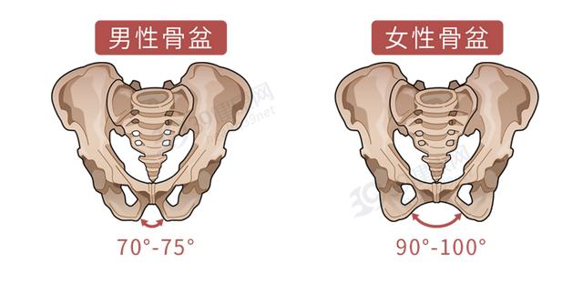 男人说y是什么意思