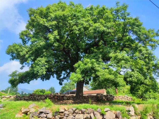 電視劇《經山歷海》