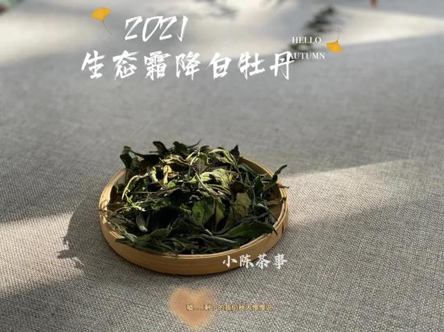 黑黝黝