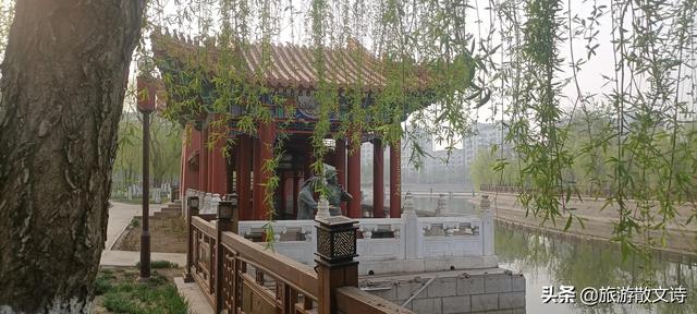 花开杨柳青